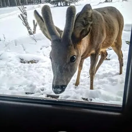 Przyjacielowka Ekstra -miejsce Ciszy Appartement Siena