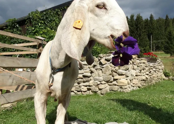 Przyjacielowka Ekstra -miejsce Ciszy Sienna (Klodzko)