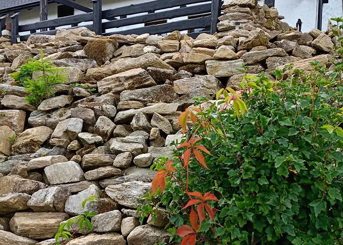 Przyjacielowka Ekstra -miejsce Ciszy *